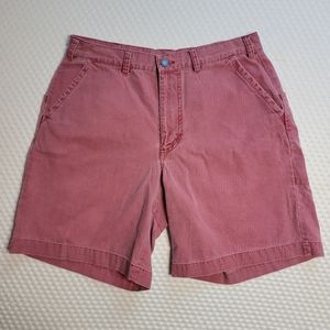 Patagonia Stand Up Salmon 8" Shorts